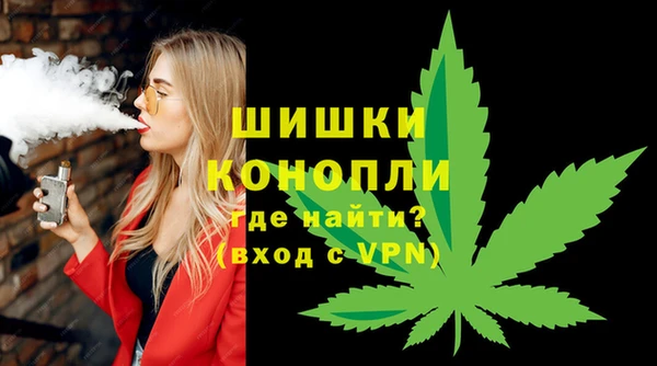 спиды Пересвет