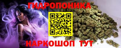 ECSTASY Шебекино