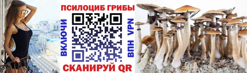 где купить наркоту  даркнет телеграм  Галлюциногенные грибы Psilocybine cubensis  Тутаев  ОМГ ОМГ как войти 